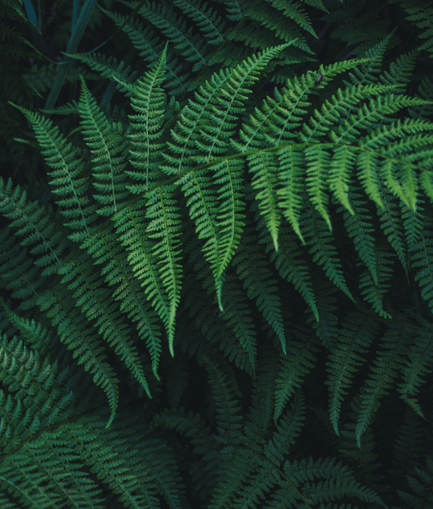 ESG: la qualità di un investimento