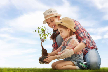 La DNF: dare conto degli impatti e del sostegno alla comunità