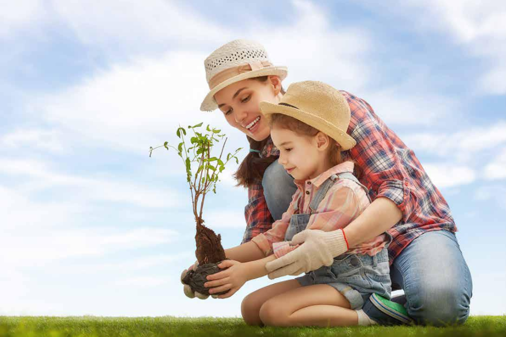 La DNF: dare conto degli impatti e del sostegno alla comunità