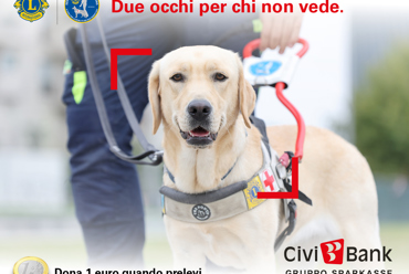 Un euro che può cambiare una vita: al via la raccolta fondi per i cani guida Lions