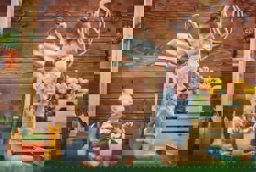 Gesti che fanno benefit: DNF e Società Benefit