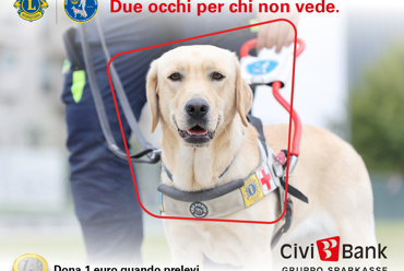 Un euro che può cambiare una vita: al via la raccolta fondi per i cani guida Lions