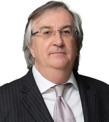 Guglielmo Pelizzo Vice Presidente